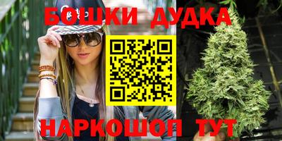 МДПВ Новодвинск