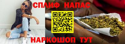 МДПВ Новодвинск
