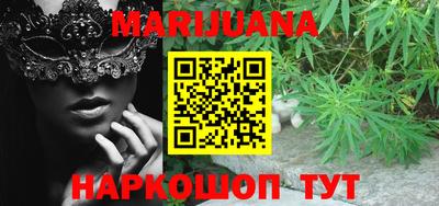 шишки Новозыбков