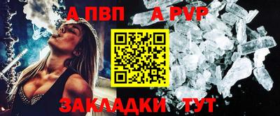 шишки Новозыбков