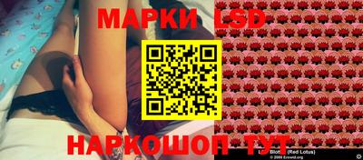 МДПВ Новодвинск