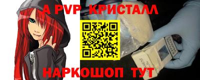 шишки Новозыбков
